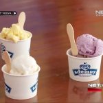 Mengungkap Kelezatan Yang Mengguncang Lidah Review Gelato Viral Dengan Rasa Unik Rempah Nusantara
