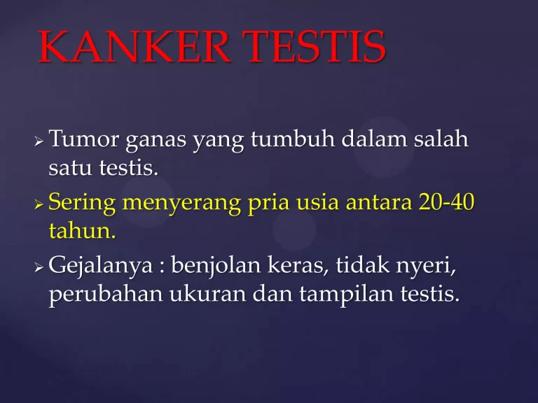 Risiko Kanker Testis Pada Pria Muda Memahami Mengenali Dan Bertindak