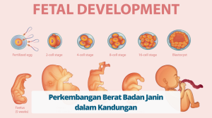 Kenapa Berat Badan Janin Dalam Kandungan Kurang