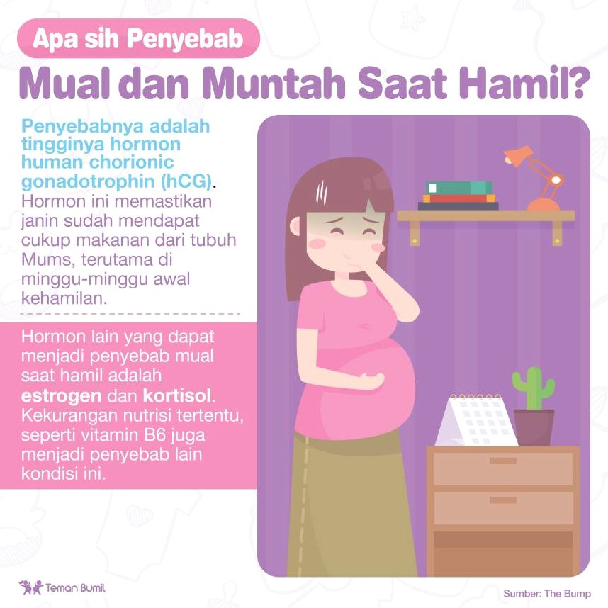 Kenapa Ibu Hamil Muda Sering Merasa Mual Dan Muntah