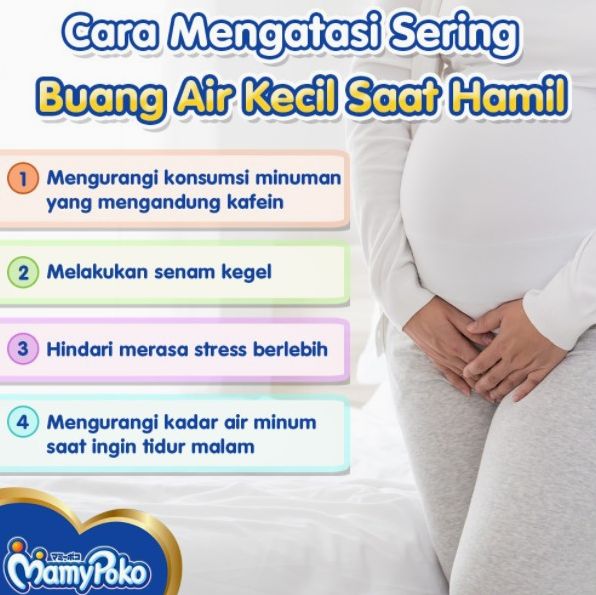 Kenapa Ibu Hamil Sering Buang Air Kecil Di Trimester 1