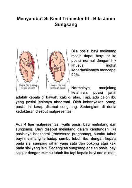 Memahami Posisi Janin Apa Penyebab Bayi Sungsang Di Trimester 3