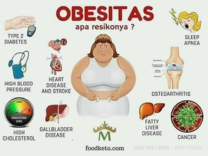 Pengaruh Berat Badan Berlebih Terhadap Kesuburan Wanita Panduan Lengkap Dan Solusinya