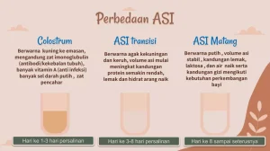 Perbedaan Asi Colostrum Dan Asi Matang Panduan Lengkap Untuk Ibu Menyusui